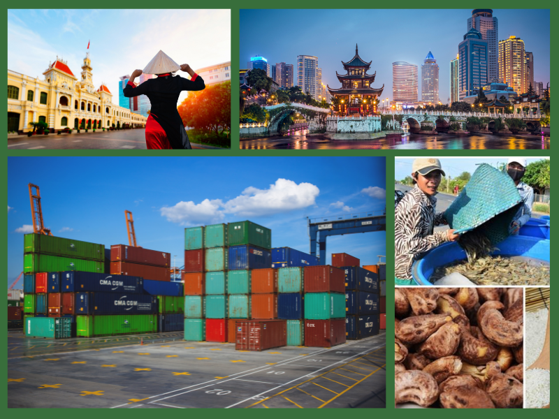 Trang Thông Tin Xuất Nhập Khẩu IMEX NEWS