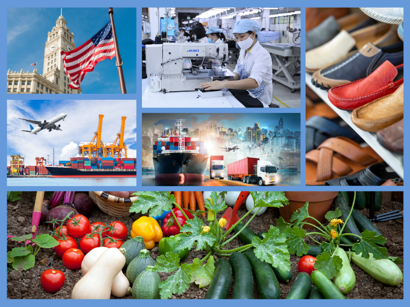 Trang Thông Tin Xuất Nhập Khẩu IMEX NEWS