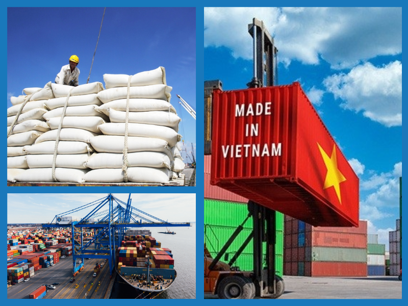 Trang Thông Tin Xuất Nhập Khẩu IMEX NEWS