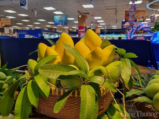 Trang Thông Tin Xuất Nhập Khẩu IMEX NEWS