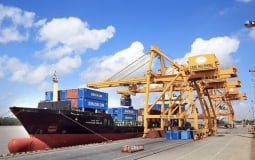 Trang Thông Tin Xuất Nhập Khẩu IMEX NEWS