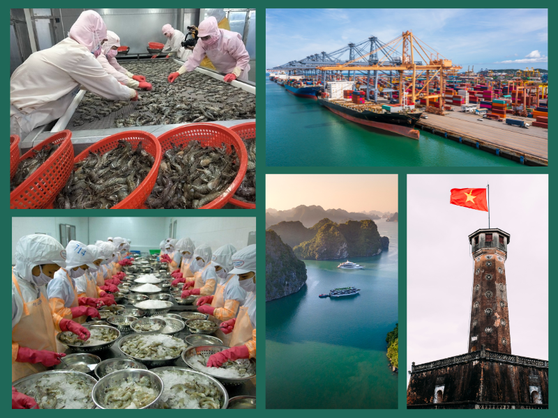 Trang Thông Tin Xuất Nhập Khẩu IMEX NEWS