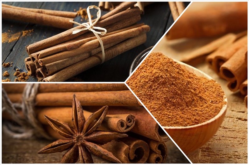 Trang Thông Tin Xuất Nhập Khẩu IMEX NEWS