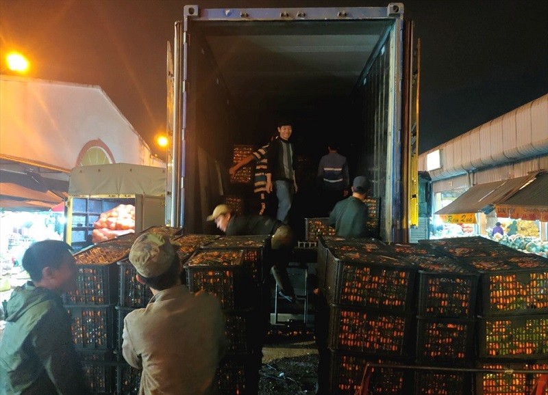 bốc xếp chợ đầu mối