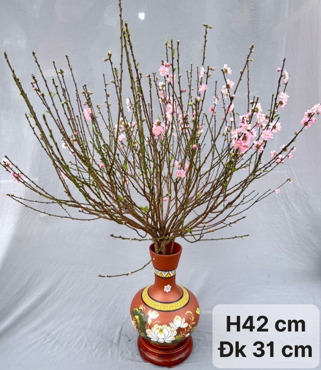 CÁC MẪU BÌNH CẮM ĐÀO