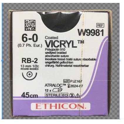 Chỉ phẫu thuật Vicryl 6-0 (tròn) W9981