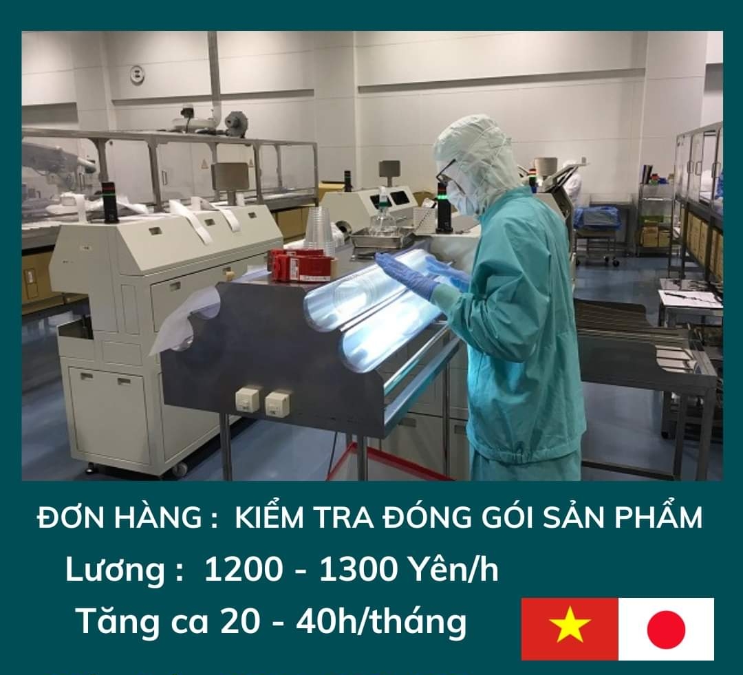 TỔNG HỢP CÁC LĨNH VỰC, NGÀNH NGHỀ TIẾP NHẬN THỰC TẬP SINH VIỆT NAM SANG NHẬT BẢN