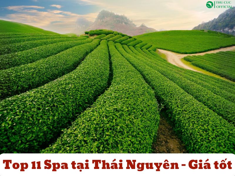Top 11 Spa tại Thái Nguyên – Dịch Vụ Chất Lượng, Giá Tốt