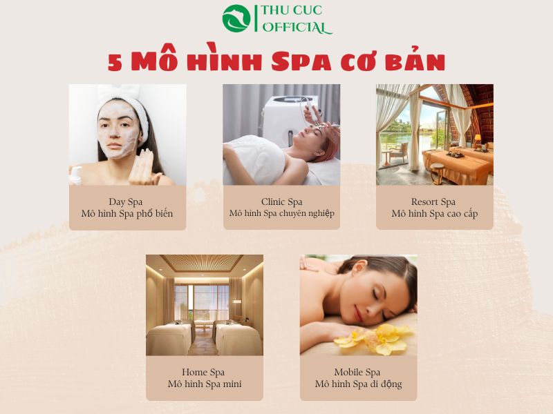 5 Mô hình Spa cơ bản