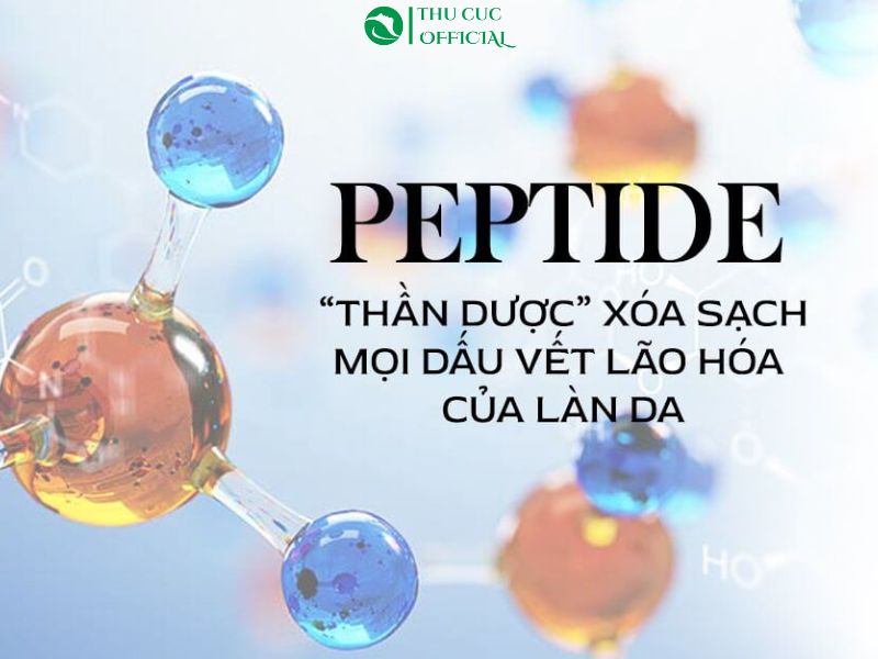 Peptide ứng dụng trong mỹ phẩm