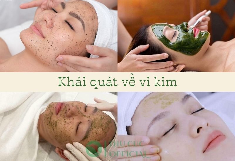 Khái quá về vi tảo