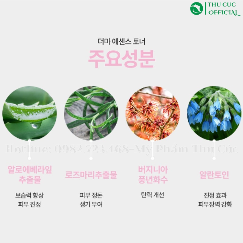 Thành phần chính trong Toner Desembre