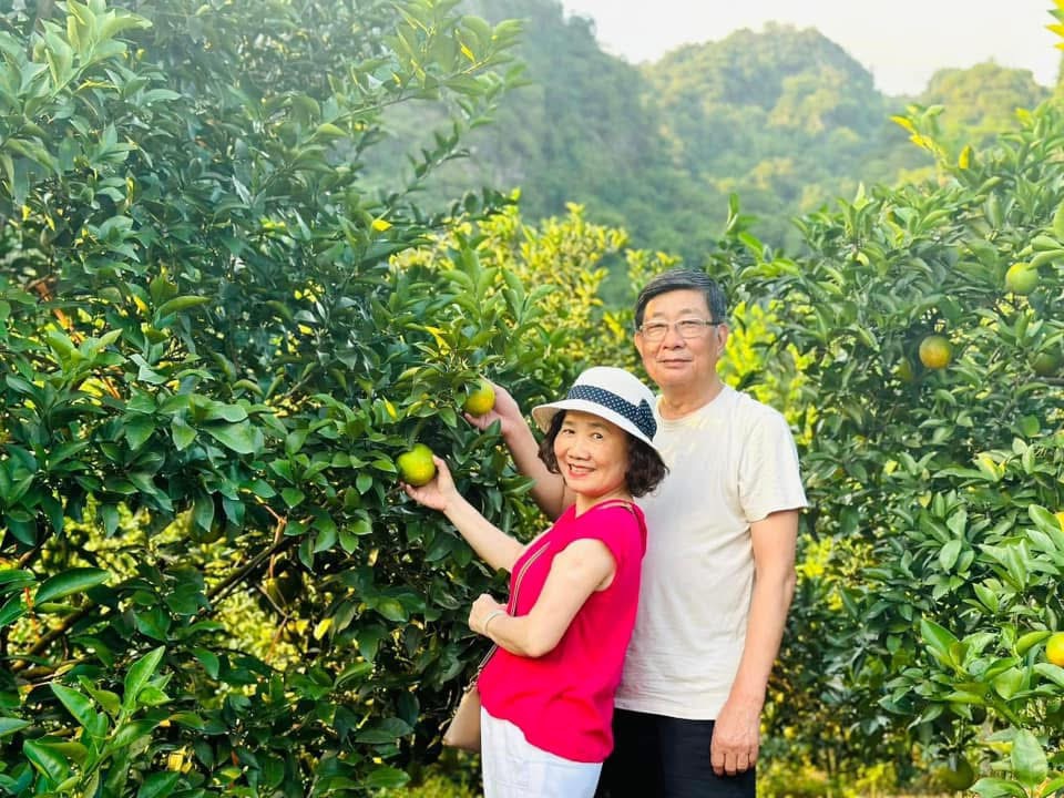 Hiking & Thu hoạch quả tại Đồi Cam, Vườn Bưởi