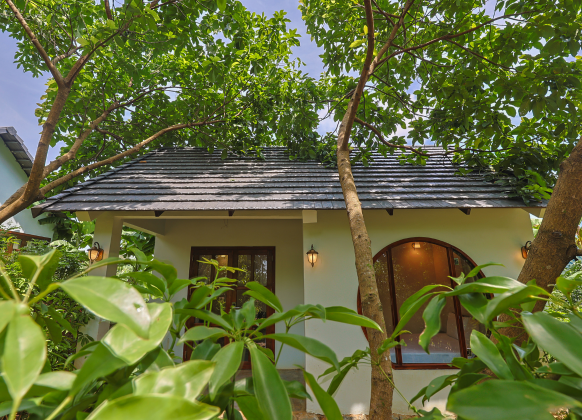 Apricot House - Nhà Mơ