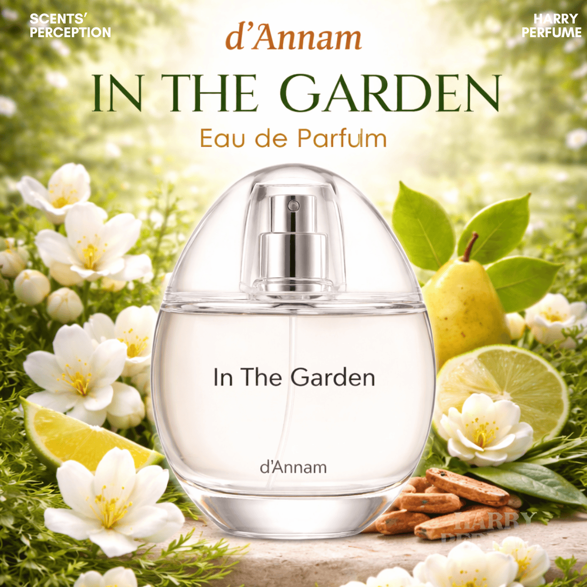 Nước hoa d'Annam In The Garden EDP 50ml Fullbox chính hãng