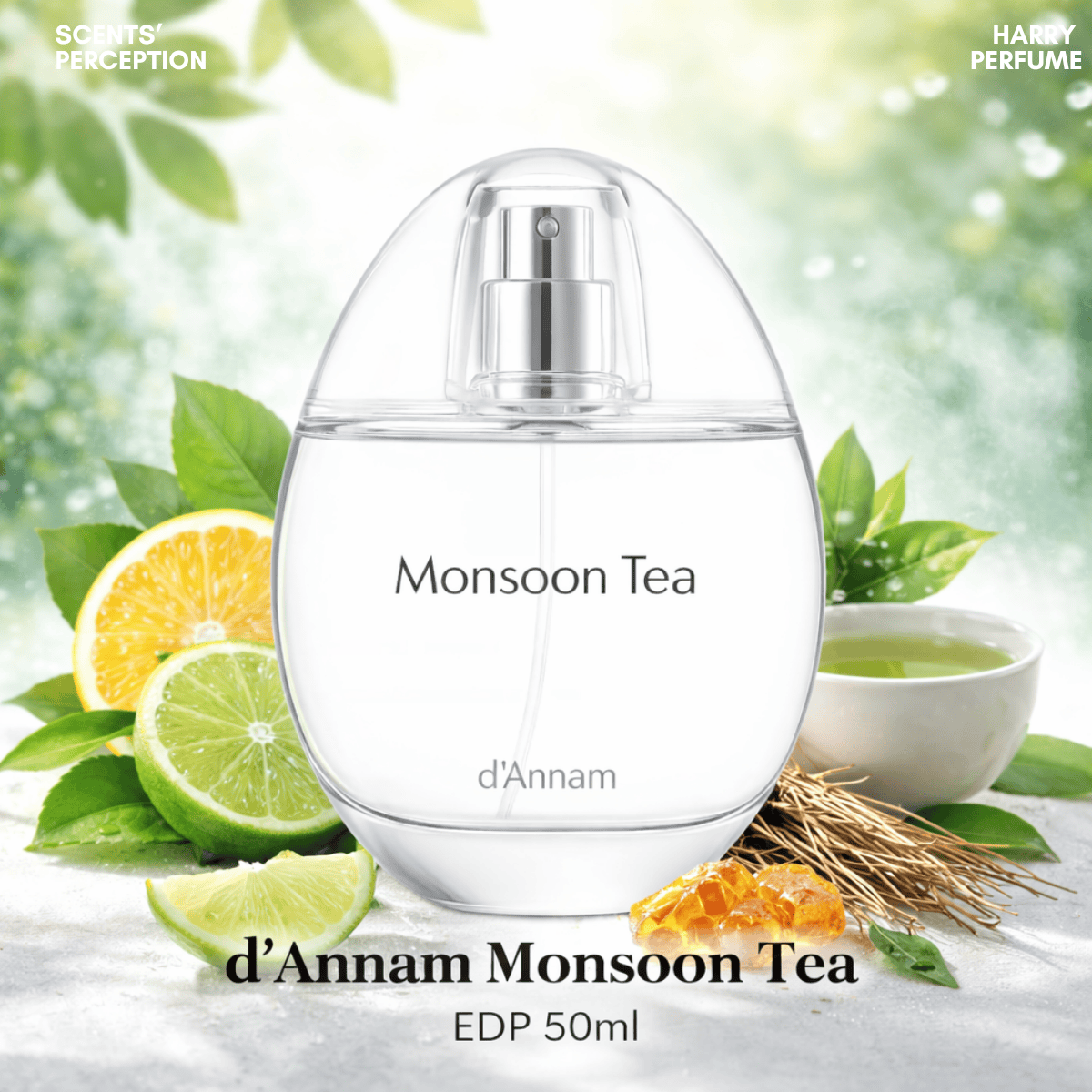 Nước hoa d'Annam Monsoon EDP 50ml Fullbox chính hãng