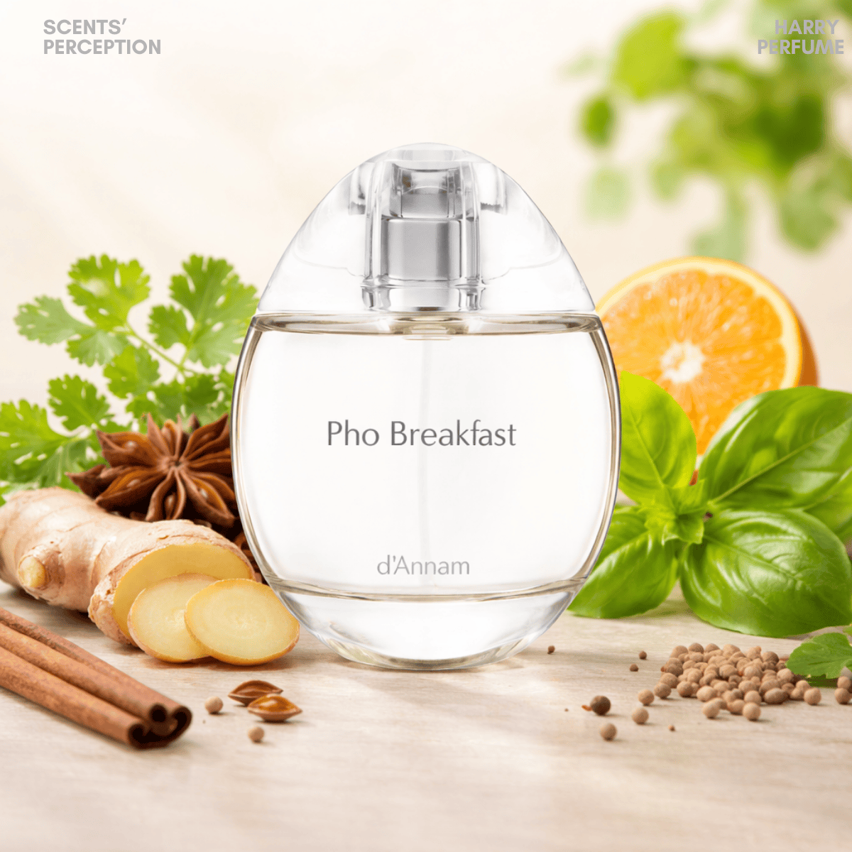 Nước hoa d'Annam Pho Breakfast EDP 50ml Fullbox