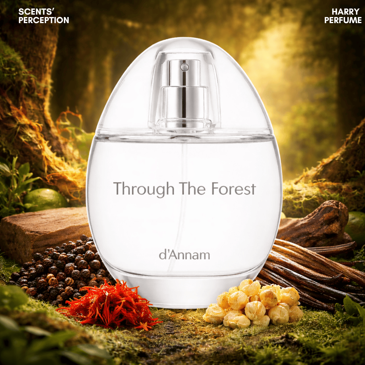 Nước hoa d'Annam Through The Forest EDP 50ml Fullbox chính hãng