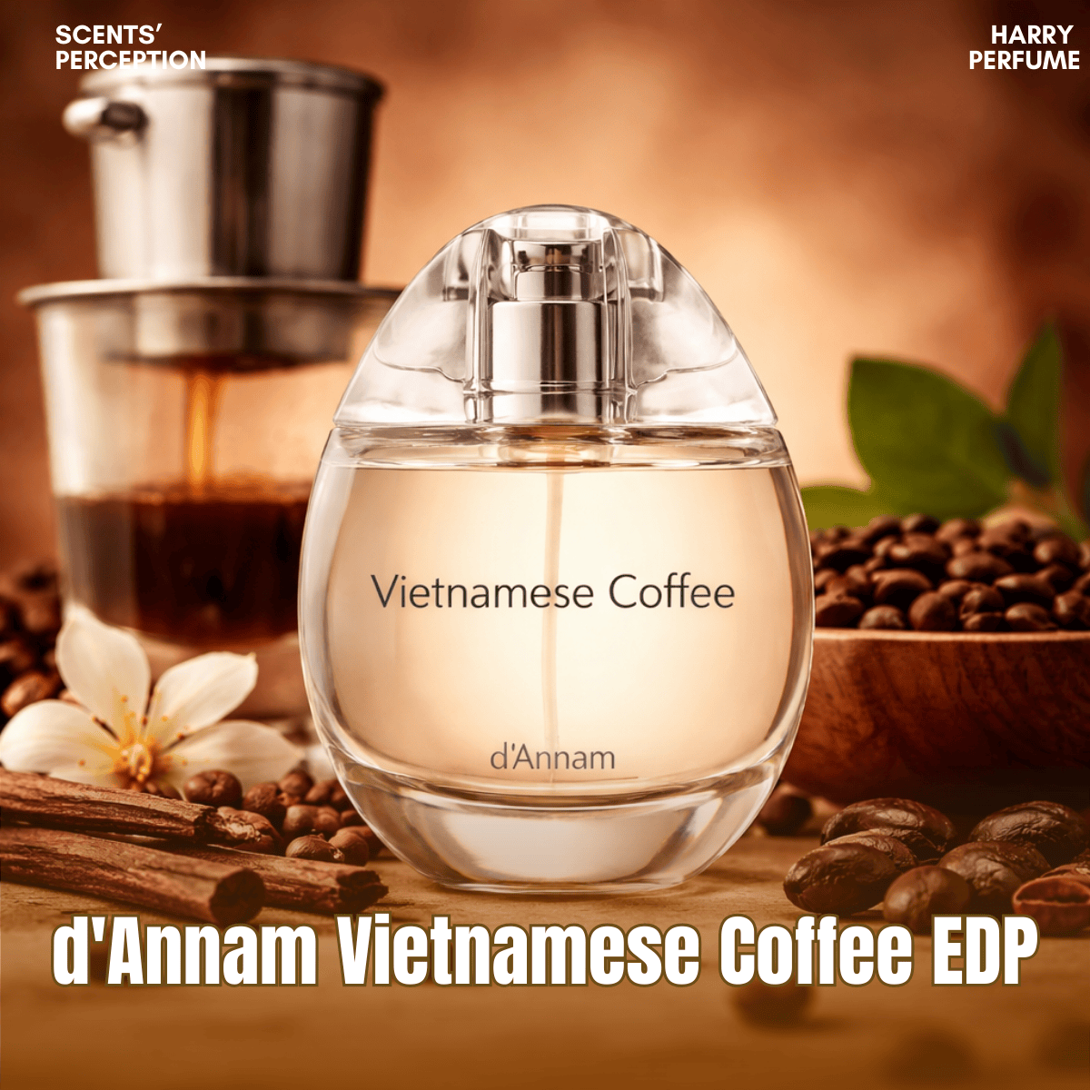 Nước hoa d'Annam Vietnamese Coffee EDP 50ml Fullbox