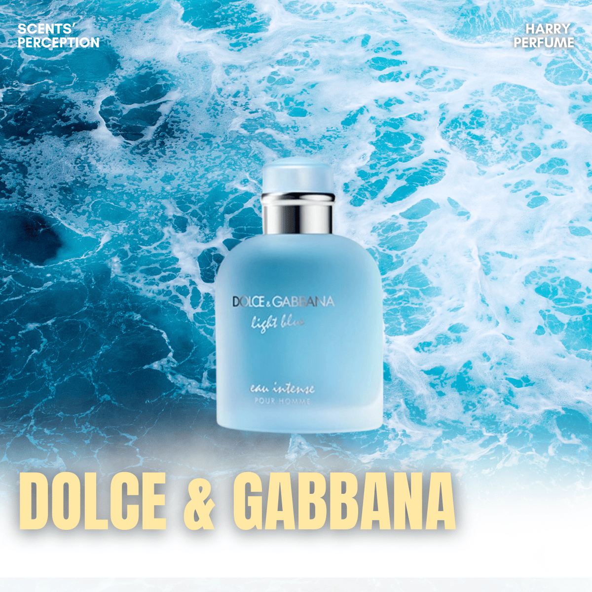 Dolce & Gabbana: Di sản phong cách Ý và nghệ thuật chế tác hương thơm