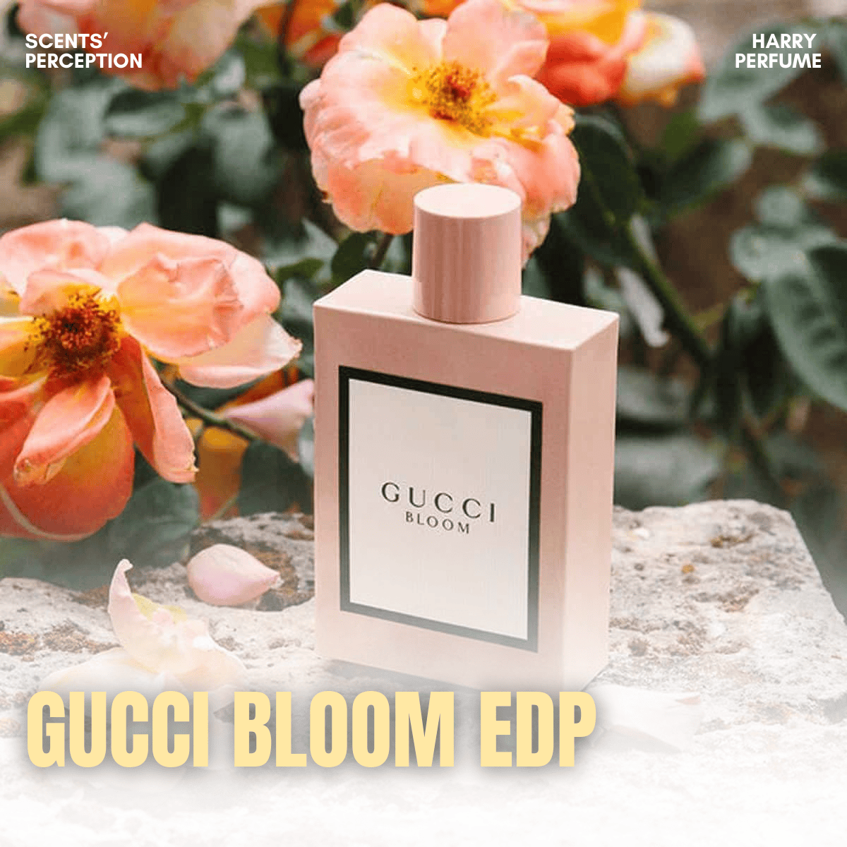 Gucci Bloom EDP – Khi hoa trắng được giữ nguyên vẻ đẹp thuần khiết