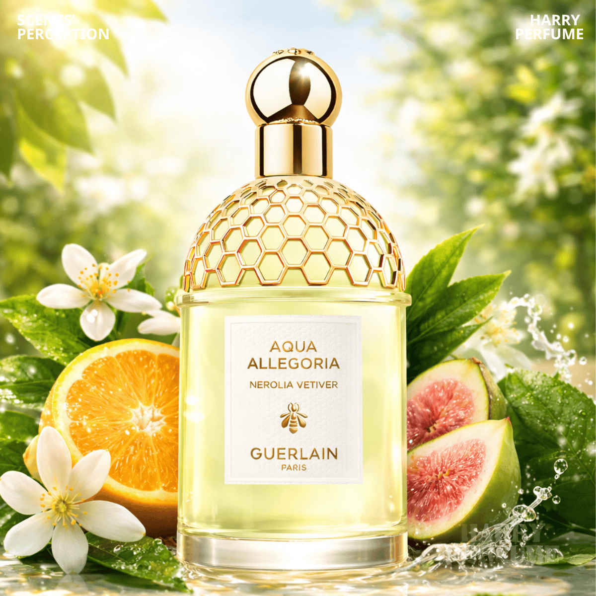 Nước hoa Guerlain Aqua Allegoria Nerolia Vetiver EDT Fullbox 125ml