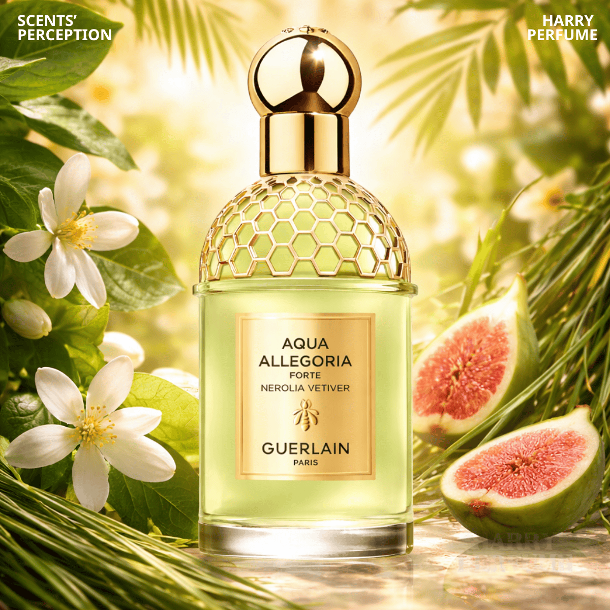 Nước hoa Guerlain Aqua Allegoria Nerolia Vetiver Forte EDP 125ml