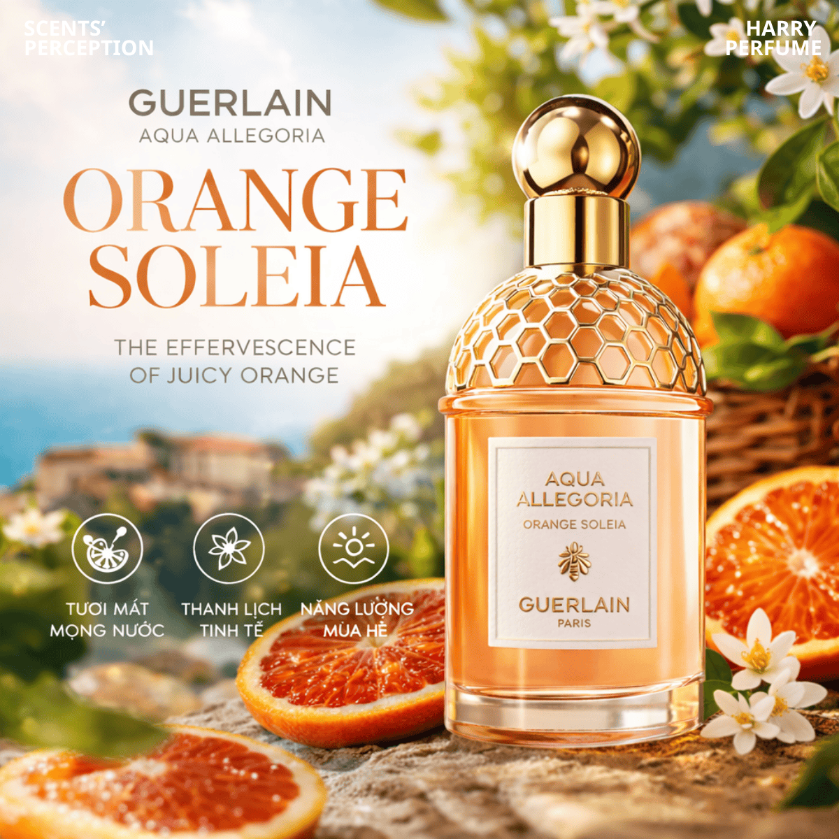 Nước hoa Guerlain Aqua Allegoria Orange Soleia EDT Fullbox 125ml
