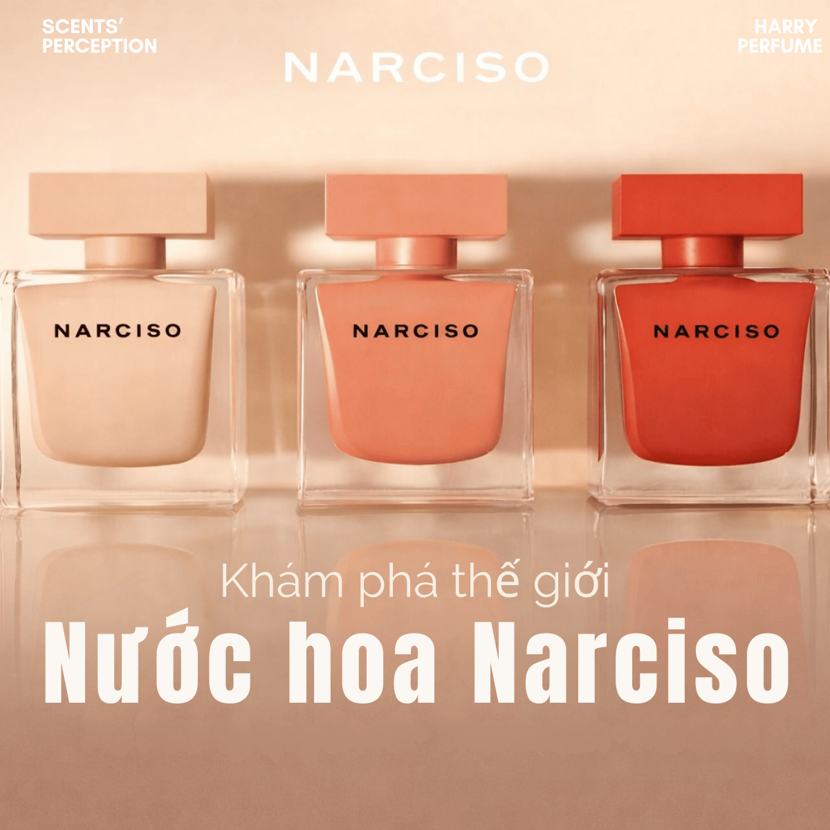 Khám phá thế giới nước hoa Narciso đầy mê hoặc