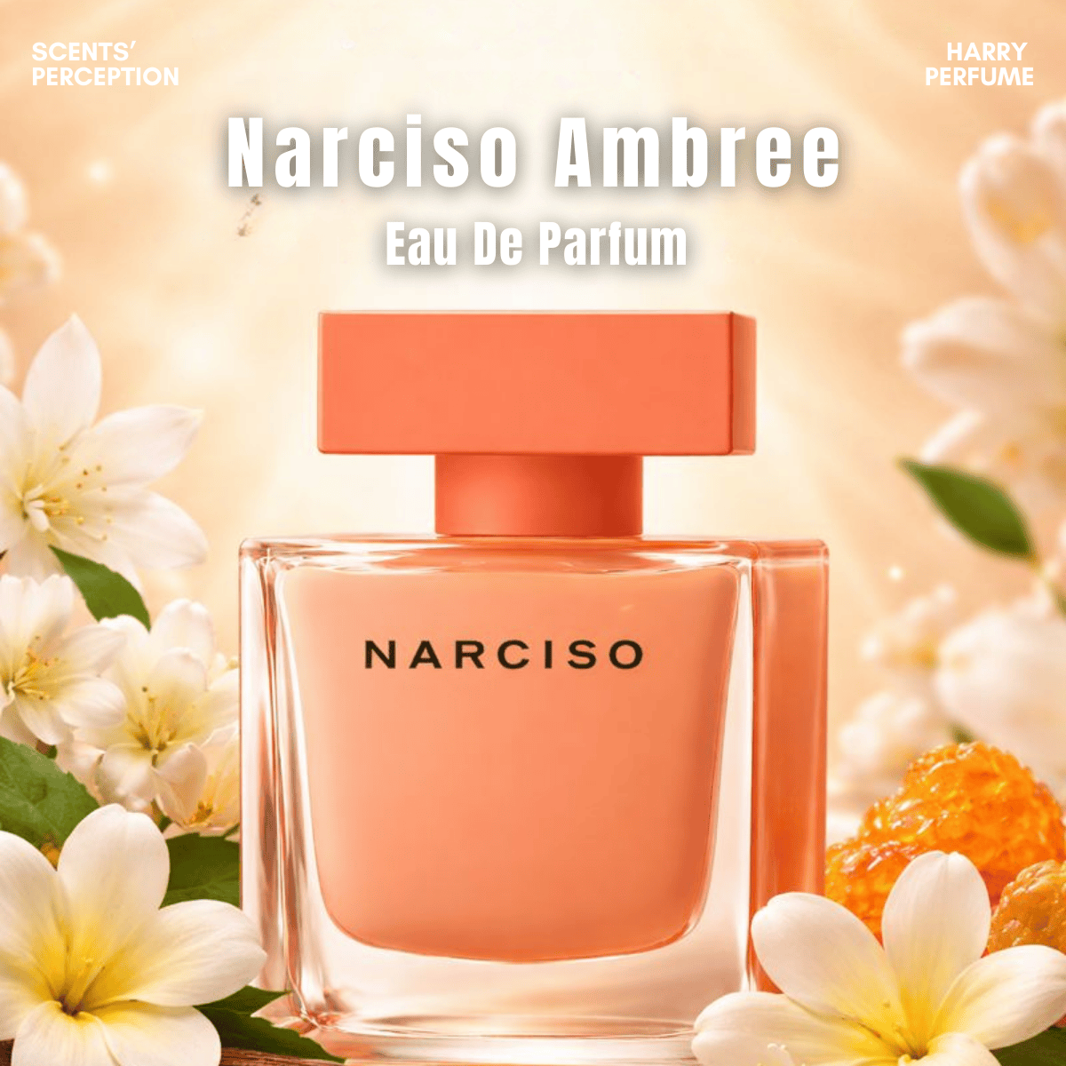 Nước hoa Narciso Ambree EDP dành cho người phụ nữ hiện đại