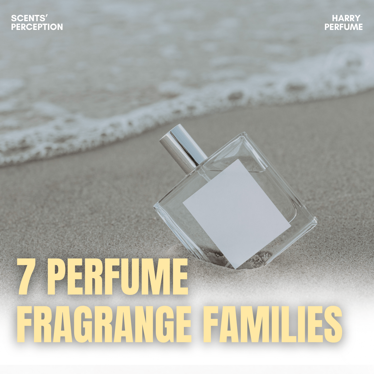 Bí ẩn và đặc trưng 7 nhóm hương nước hoa hiện đại