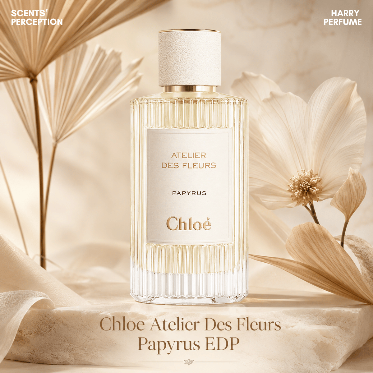 Nước hoa cao cấp Chloe Atelier Des Fleurs Papyrus EDP