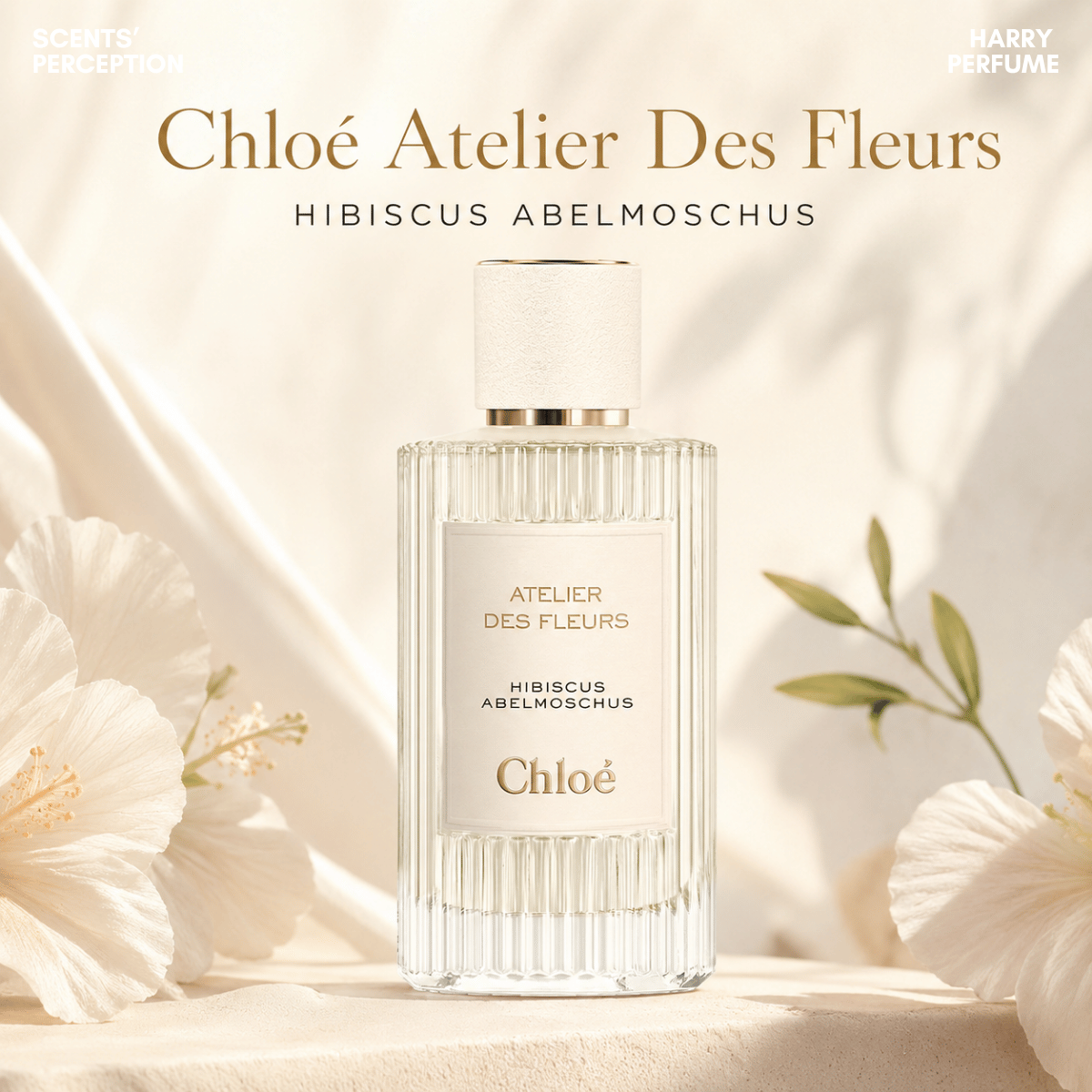 Nước hoa Chloé Atelier Des Fleurs Hibiscus Abelmoschus EDP