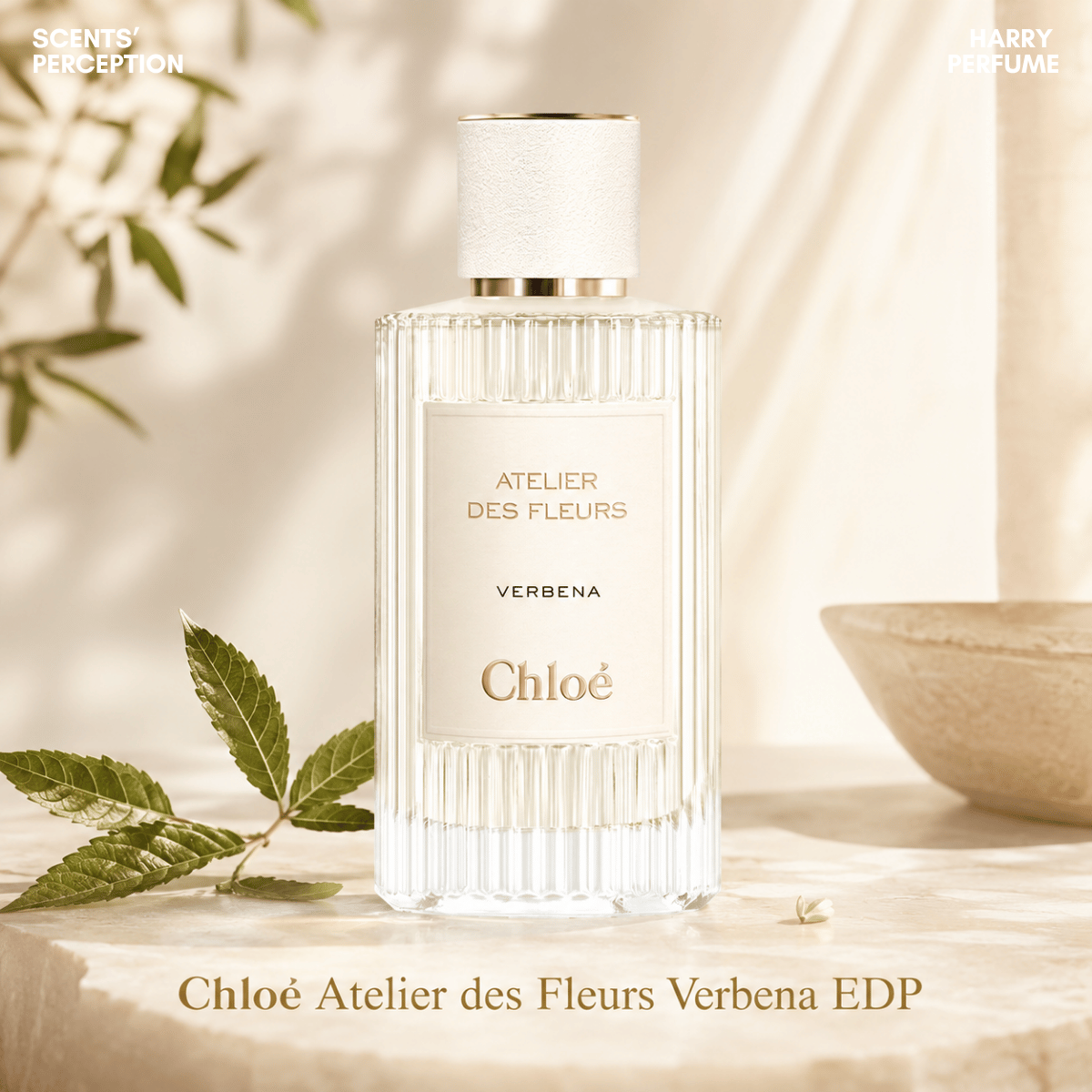Nước hoa Chloé Atelier des Fleurs Verbena EDP hương cỏ roi ngựa