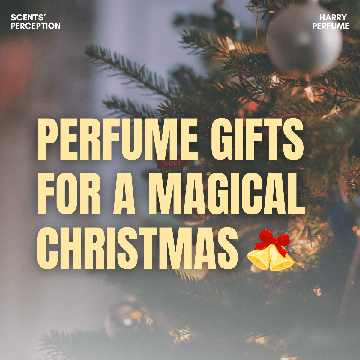 Top 10 Chai nước hoa làm quà Giáng sinh cho nam và nữ