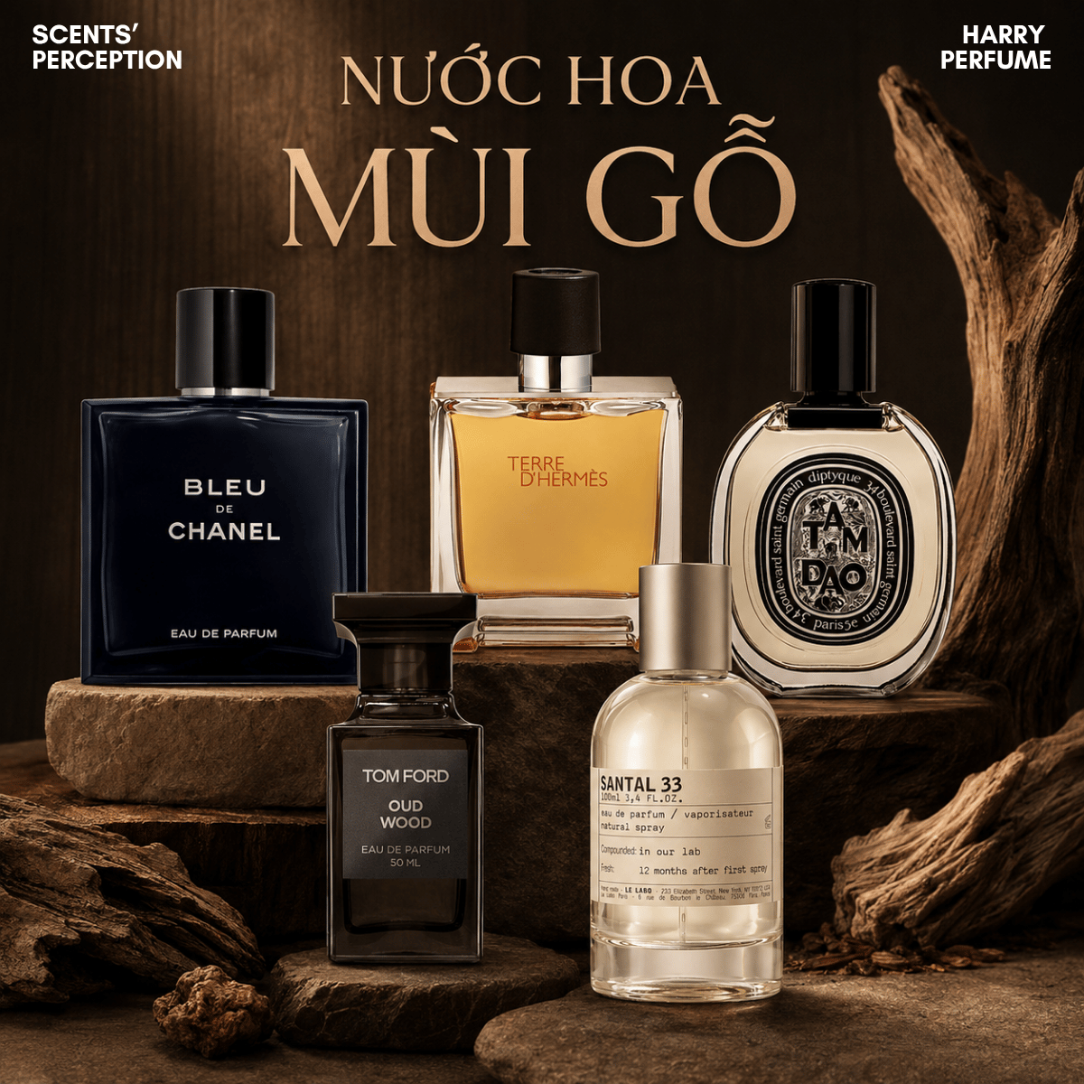 5 Chai nước hoa mùi gỗ đáng thử cho người yêu phong cách tinh tế