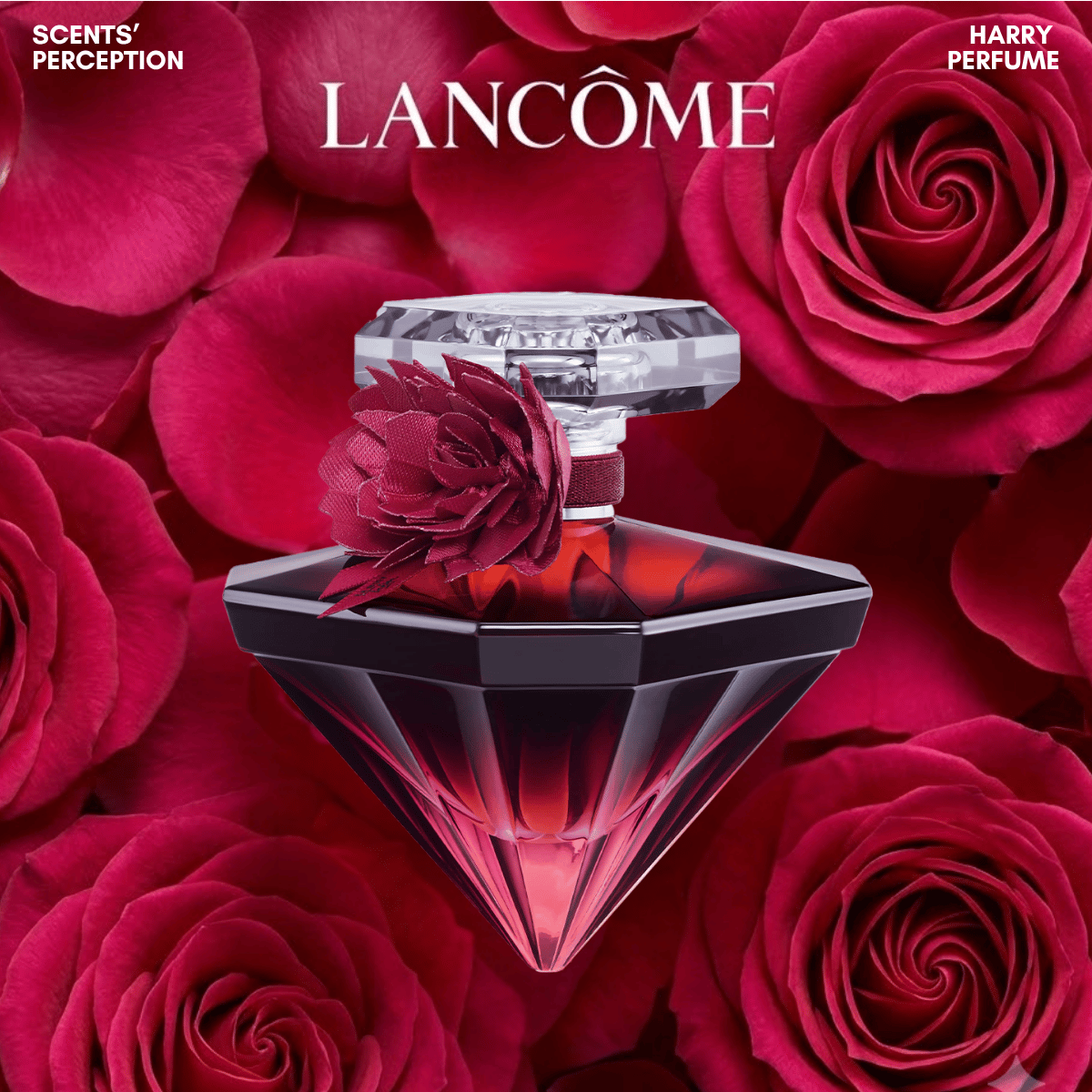 Nước hoa nữ Lancôme La Nuit Trésor Intense EDP ngọt ngào, quyến rũ