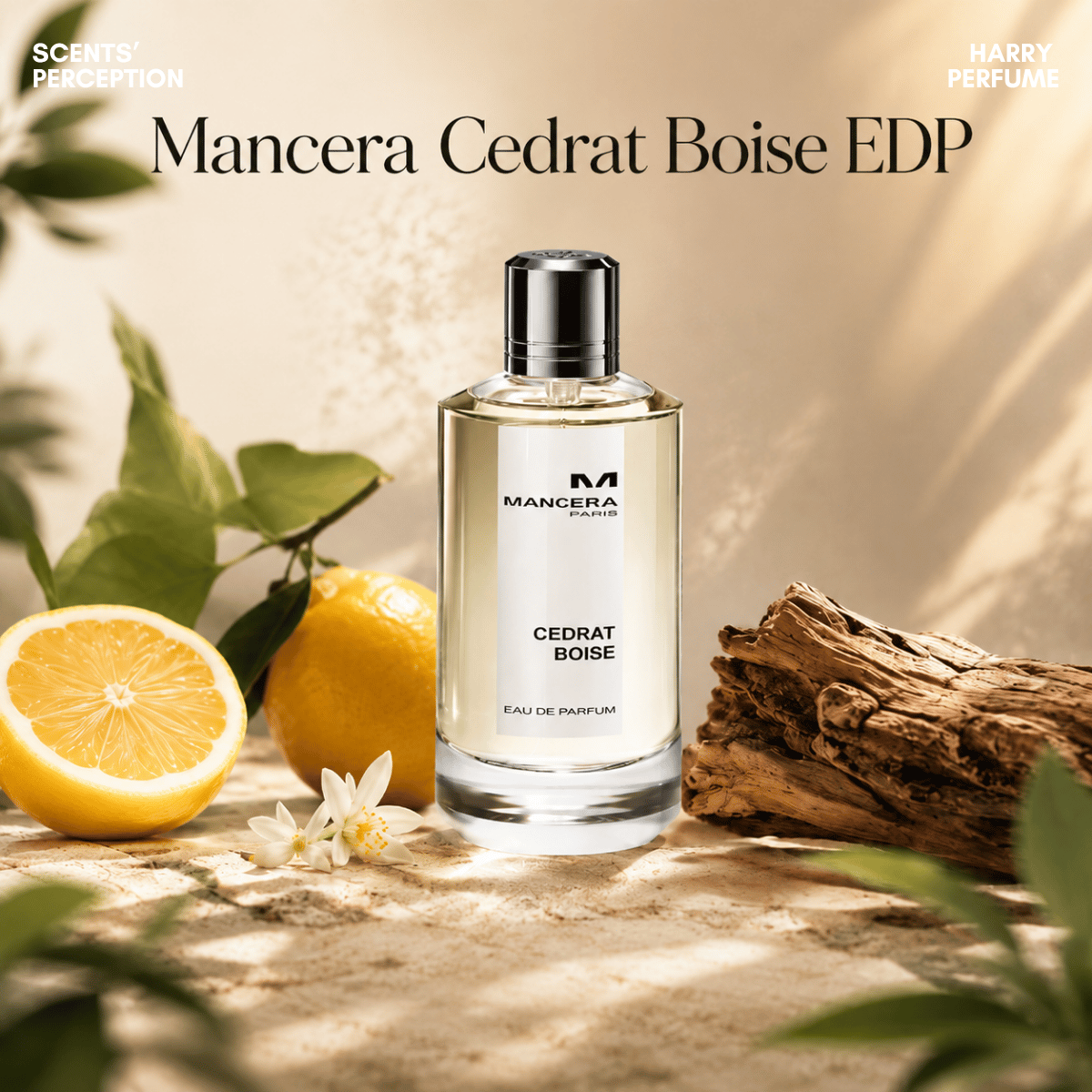 Nước hoa Unisex Mancera Cedrat Boise EDP Fullbox 120ml