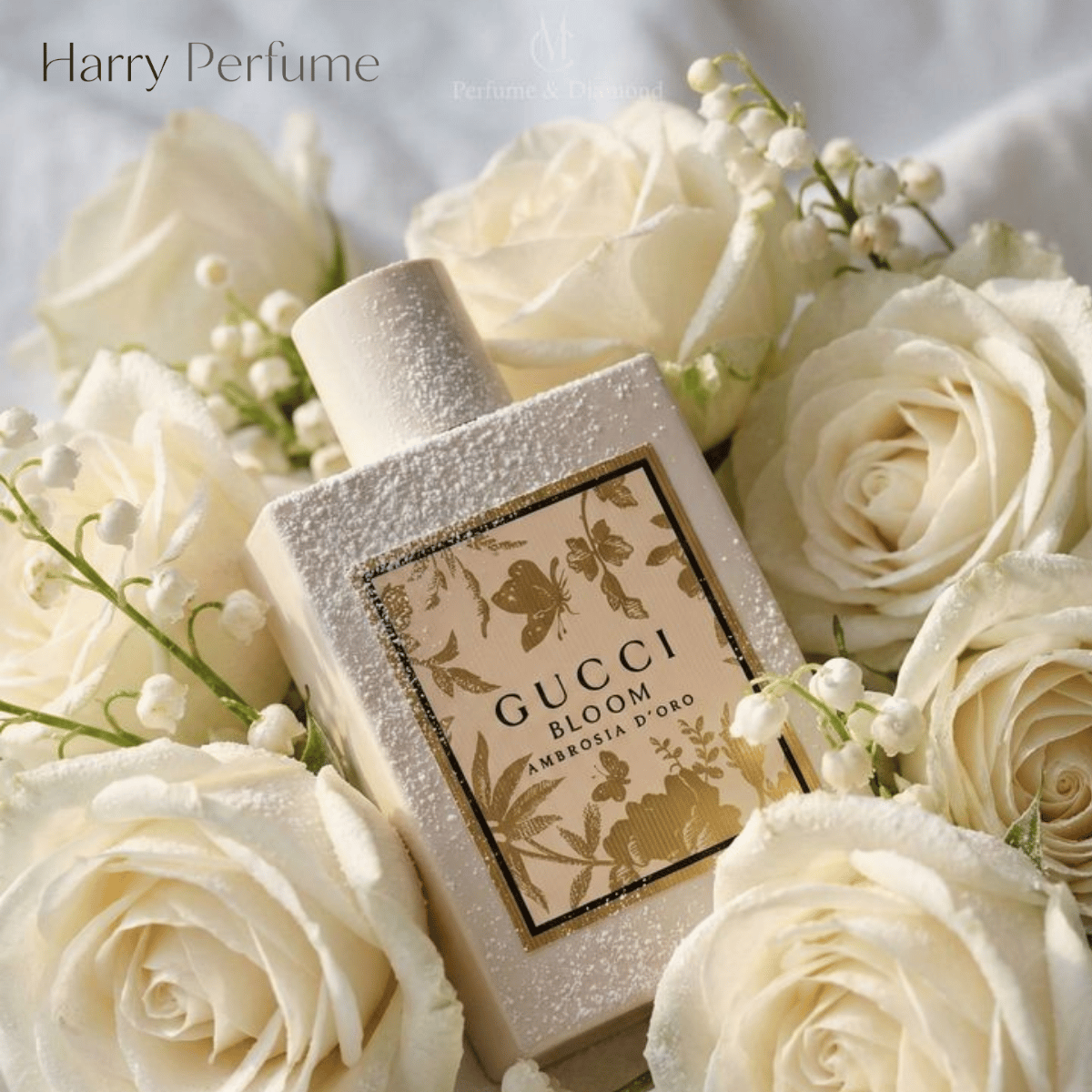 Review Gucci Bloom Ambrosia d’Oro EDP - Khu vườn hoa trắng hiện đại