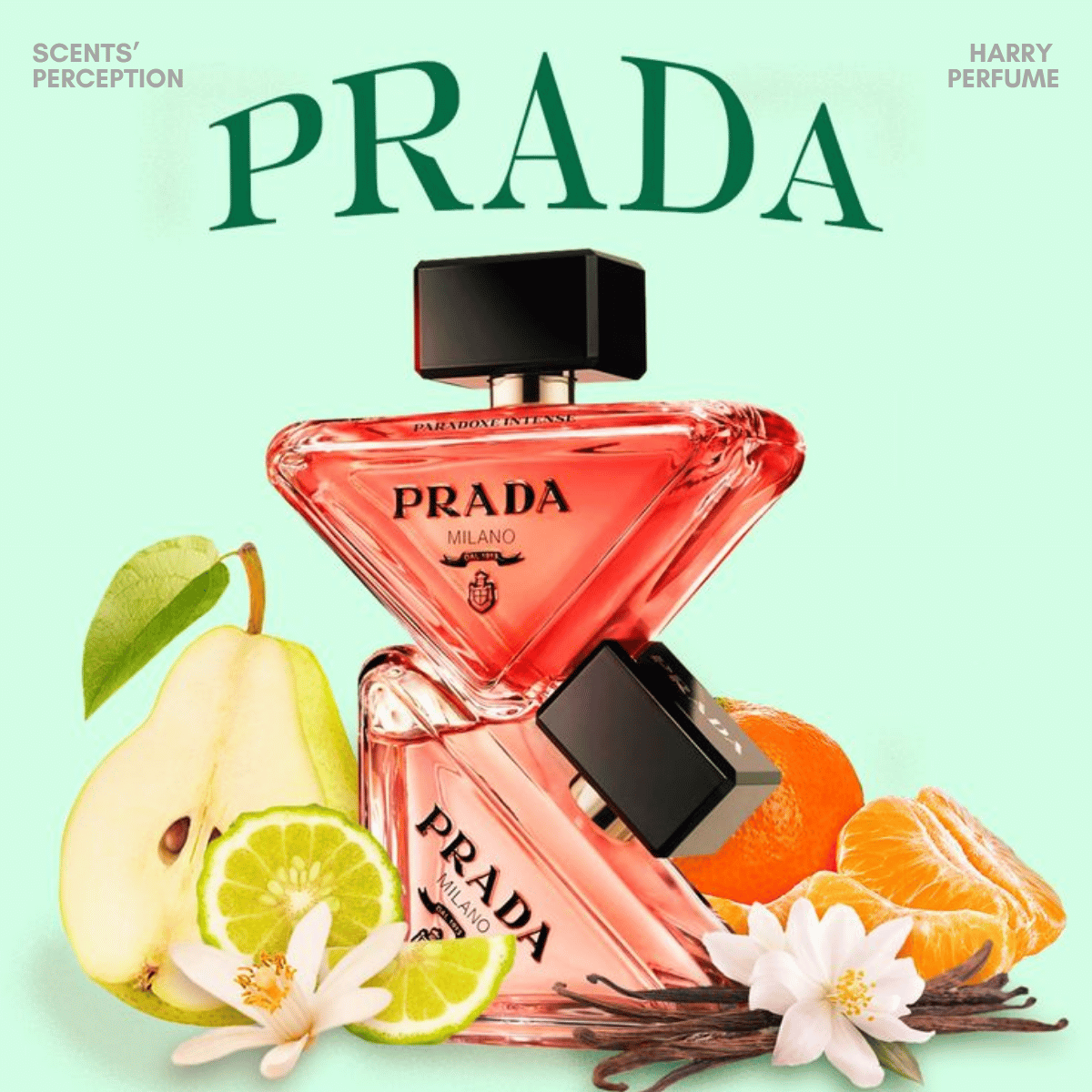 So sánh Prada Paradoxe EDP và Prada Pradadoxe Intense EDP
