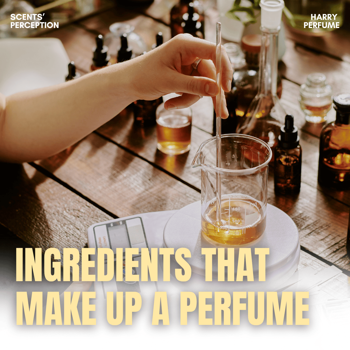 Thành phần cấu tạo nên nước hoa là gì?