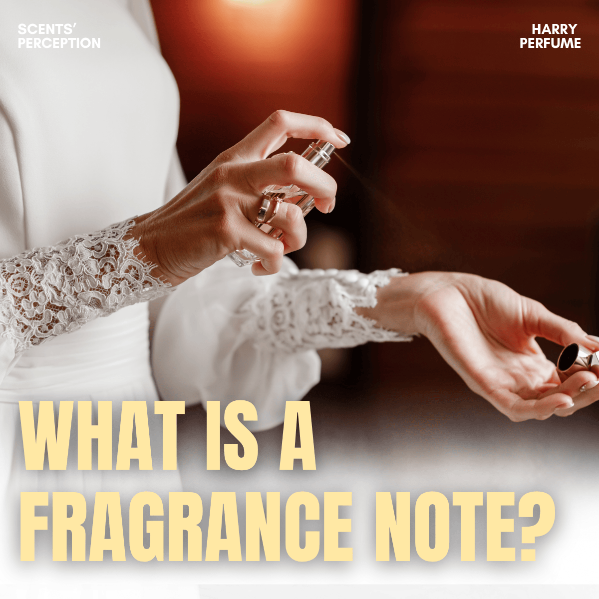 Note hương là gì? Khám phá bí mật tạo nên linh hồn của nước hoa cao cấp