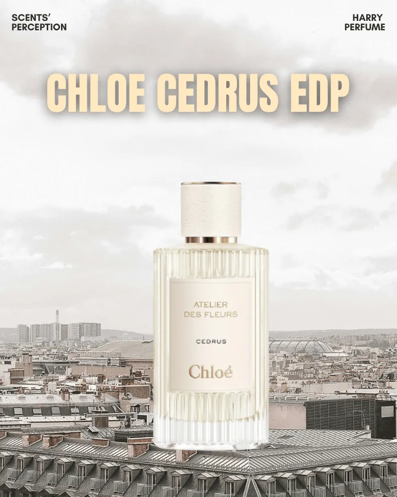 Chloé – biểu tượng thanh lịch Paris, nơi vẻ đẹp dịu dàng hòa quyện cùng sự tinh tế trong từng thiết kế và từng nốt hương