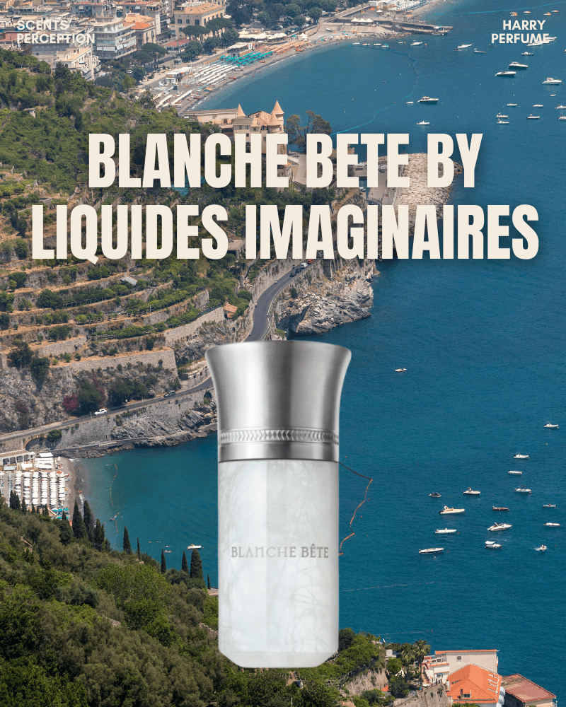 Trắng muốt, mềm mại và mộng mơ, nơi hương sữa, hoa trắng và vanilla hòa quyện đầy lãng mạn.