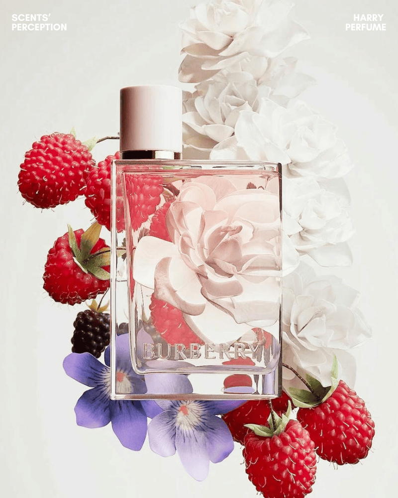 Burberry Her EDP là mùi hương trái cây – hoa cỏ ngọt sáng, mở đầu tươi trẻ, chuyển sang nữ tính mềm mại và kết thúc ấm áp gợi cảm