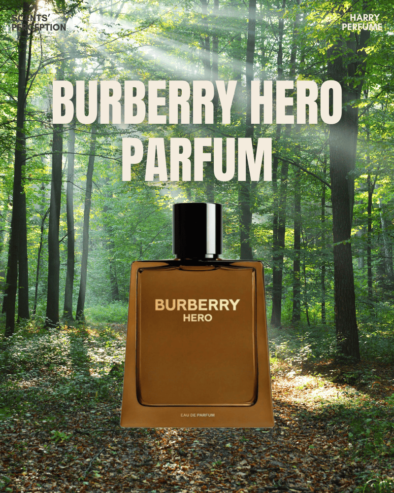 Burberry Hero Parfum – Trầm ấm, nam tính và sang trọng, nổi bật với chiều sâu gỗ mịn như lụa