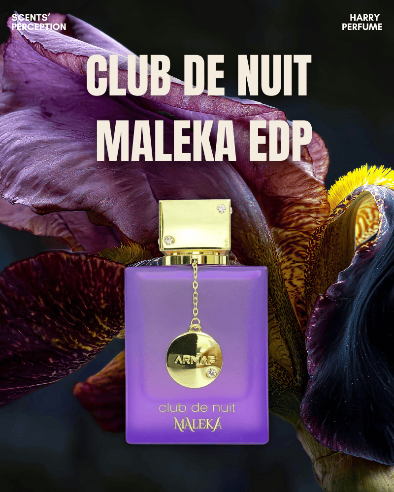 Club De Nuit Maleka – ánh tím lấp lánh giữa màn đêm, nữ tính nhưng đầy bí ẩn và sức sống