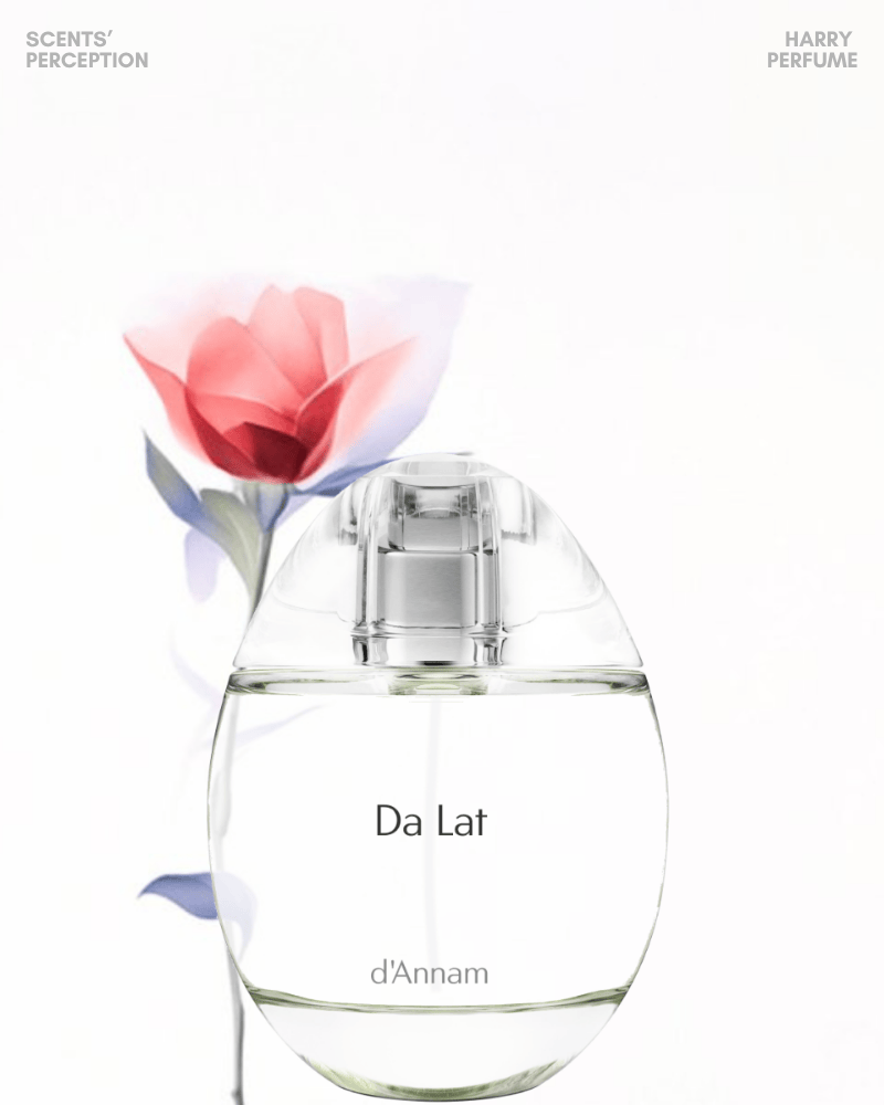 d'Annam Da Lat EDP 50ml Fullbox có độ tỏa hương vừa phải, lưu hương khoảng 5–6 giờ, phù hợp dùng hằng ngày theo phong cách tinh tế.