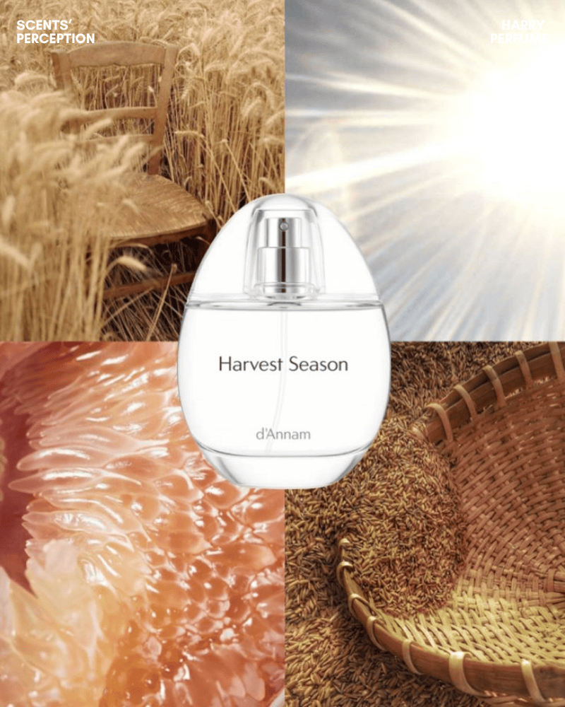 d'Annam Harvest Season EDP tái hiện mùa gặt Việt Nam qua citrus tươi, hương lúa, hoa dịu nhẹ và nền gỗ trầm ấm.