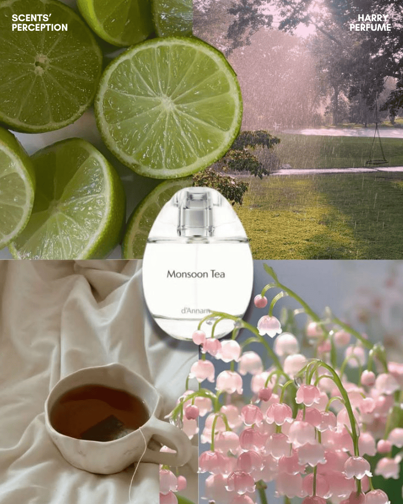 d'Annam Monsoon EDP gợi khoảng yên sau mưa, mở đầu tươi mát, trà xanh thư giãn, xạ hương mềm mại.
